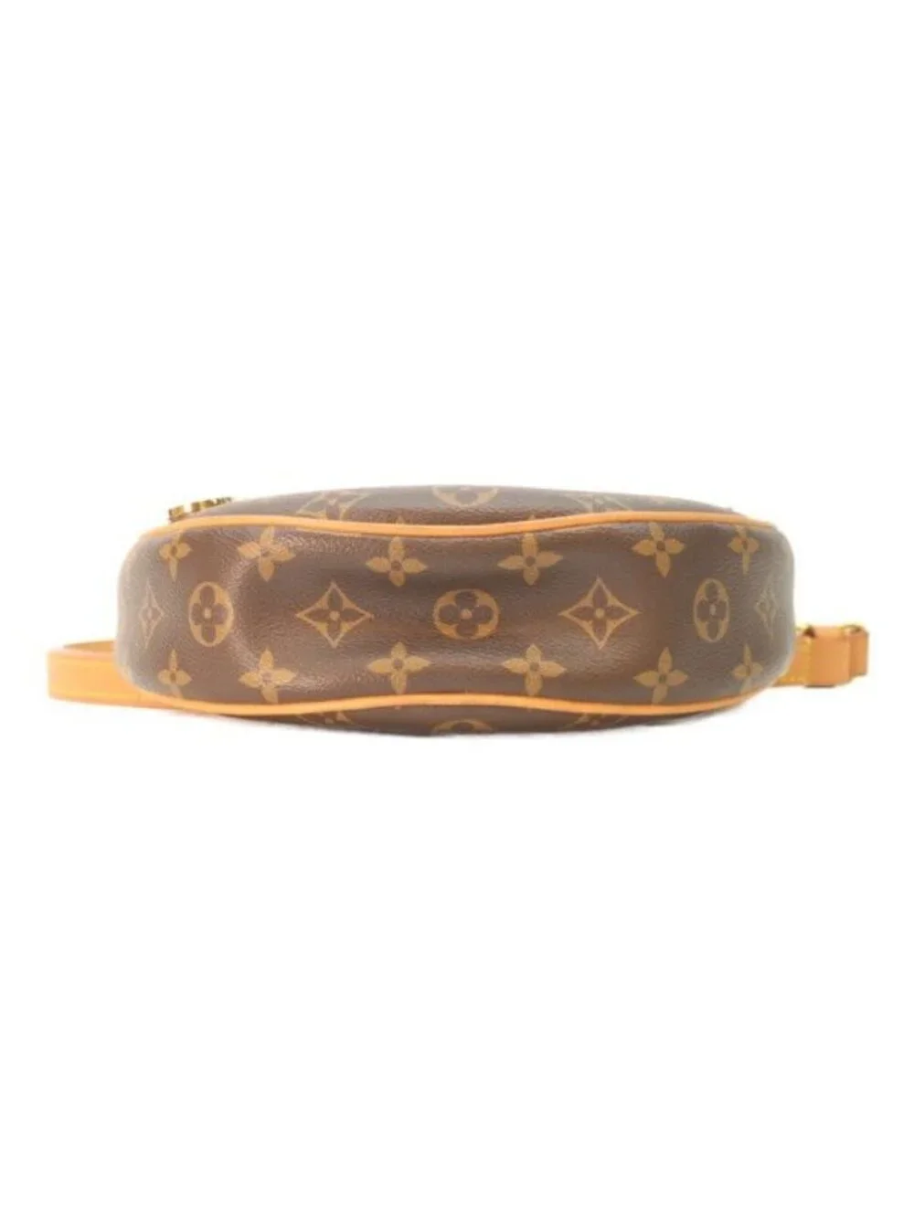 Louis Vuitton Monogram Loop Shoulder Bag